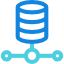 Custom Applications